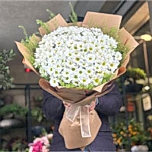 Burdur Çiçekçi - Papatyalar