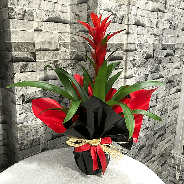  Burdur Çiçek Siparişi - GUZMANYA 