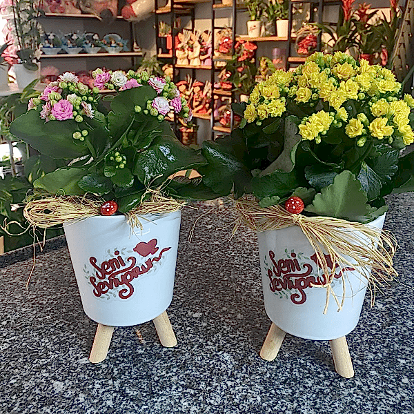  Burdur Çiçek Gönder - KALANŞO