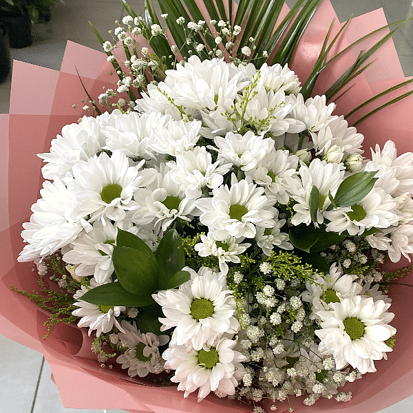  Burdur Çiçekçiler - BEYAZ PAPATYA 