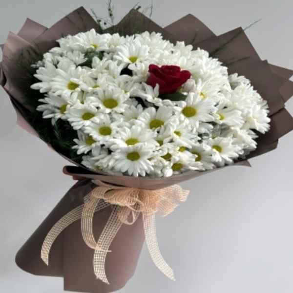  Burdur Çiçek - BEYAZ PAPATYA TEK GÜL