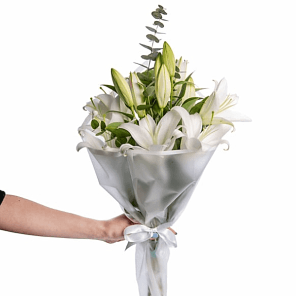  Burdur Çiçek - KAZABILANKA ve CİPSO 