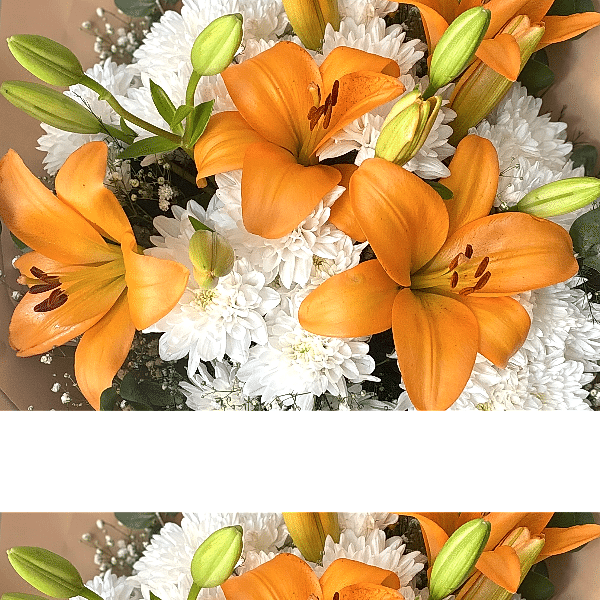  Burdur Çiçek Gönder - BEYAZ İTHAL PAPATYA & LİLYUM  BUKETİ