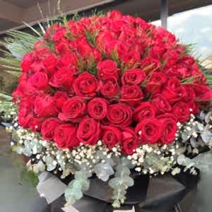  Burdur Çiçek Siparişi - 101 KIRMIZI GÜL