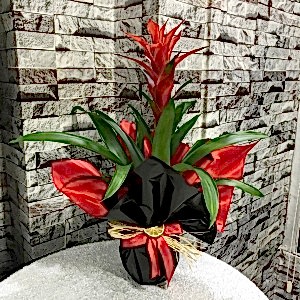  Burdur Çiçek Siparişi - GUZMANYA 