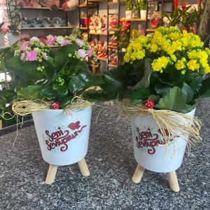  Burdur Çiçek Gönder - KALANŞO