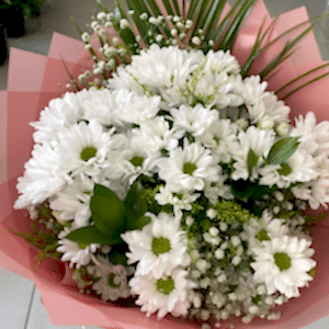  Burdur Çiçekçiler - BEYAZ PAPATYA 