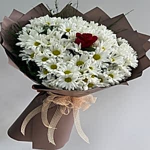  Burdur Çiçek - BEYAZ PAPATYA TEK GÜL