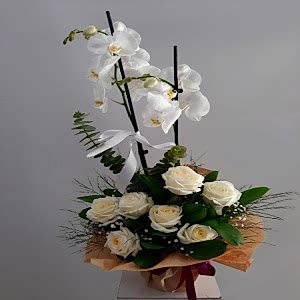  Burdur Çiçek - beyaz gül ve beyaz orkide arajmanı ve aynı zamanda gül renkleri kırmızı ,pembe,beyaz renkler ile de 