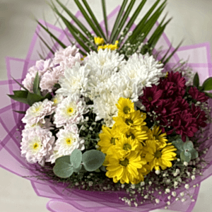 Burdur Çiçekçi - RENKLİ İTHAL PAPATYALAR